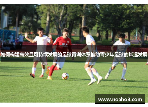 如何构建高效且可持续发展的足球青训体系推动青少年足球的长远发展